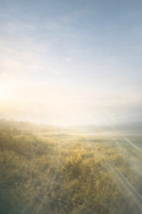 Lowest carbon footprint without carbon capture