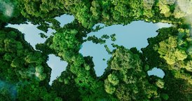 img_header_sobre_granbio.2e16d0ba.fill-1600x522