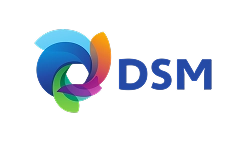 logo-dsm